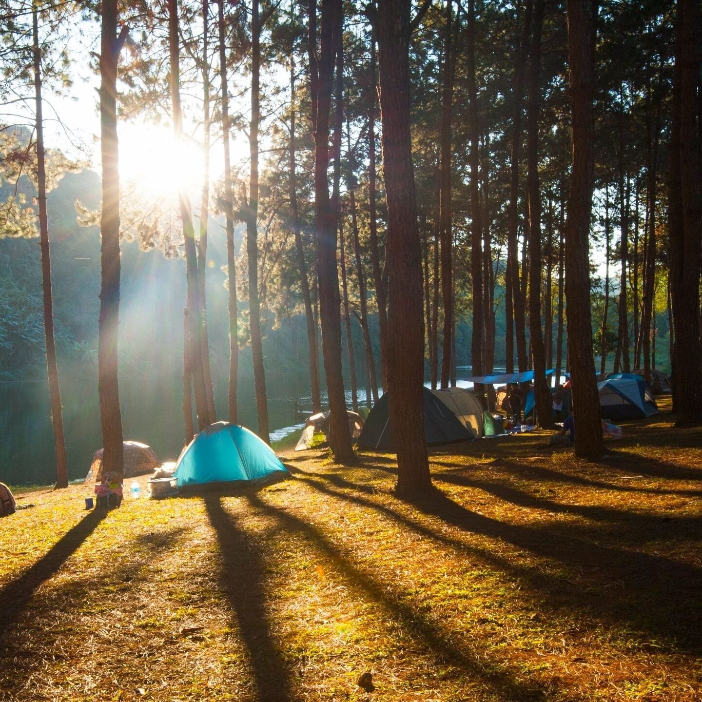 sunrise camp